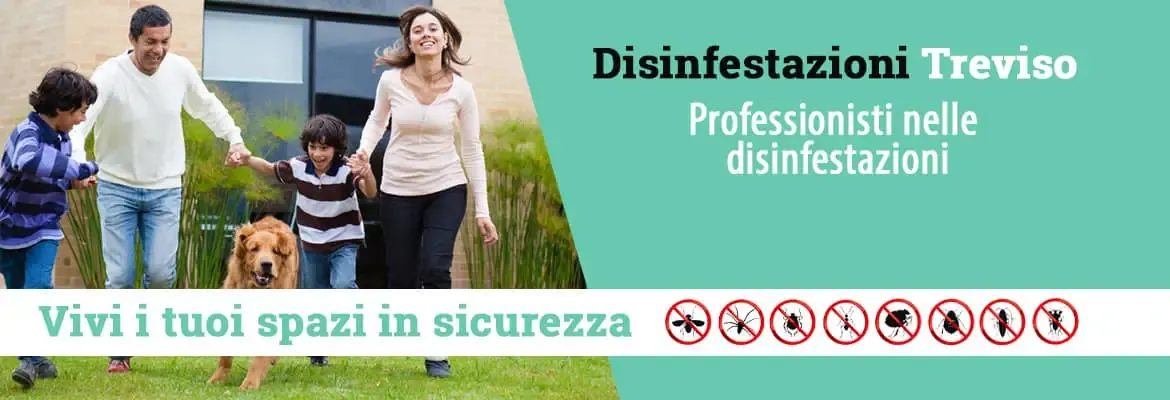 Disinfestazioni Treviso - Controllo dei parassiti