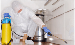 disinfestatore in tuta usa e getta bianca e guanti usa e getta celesti effettua una disinfestazione con l'apposito macchinario accucciato sotto un mobile di cucina